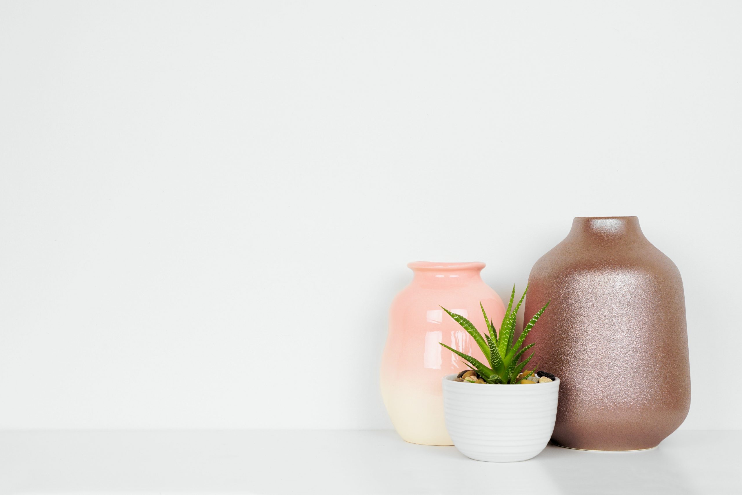 Conheça maneiras de utilizar vasos dentro da sua casa