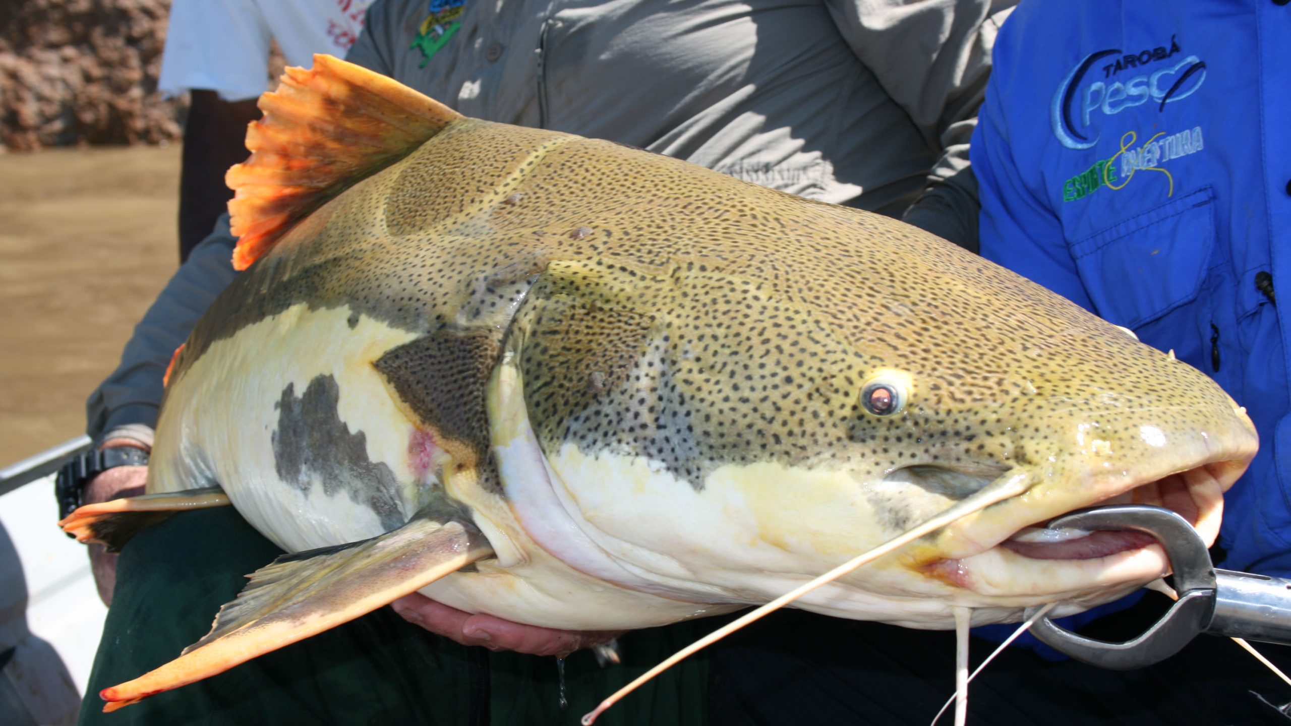 As melhores técnicas de pesca no rio Araguaia
