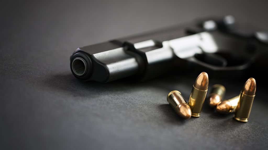 Impacto Social das Armas de Fogo: Mitos e Realidades