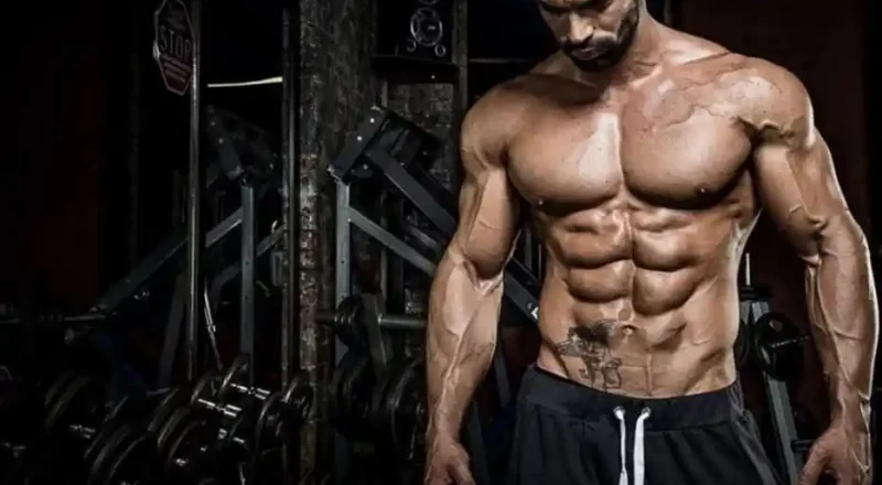 Os Perigos dos Anabolizantes Uma Ameaça à Saúde Pública e Individual